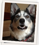 JACK